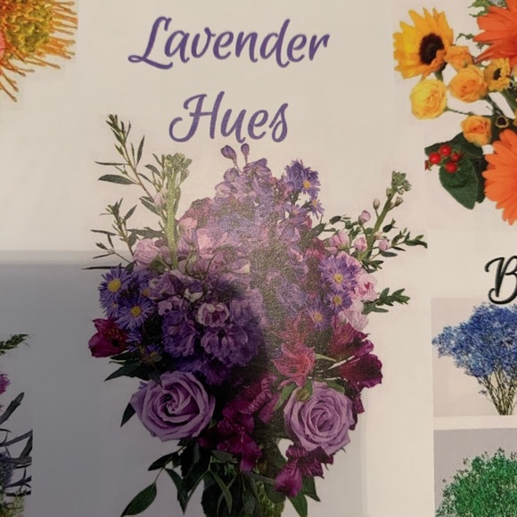 Meet your Posher, Emily - Picture 4 of 5